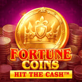 Fortune Coins Hit The Cash