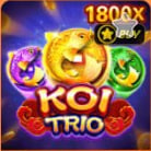 Koi Trio