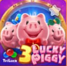 3 Lucky Piggy